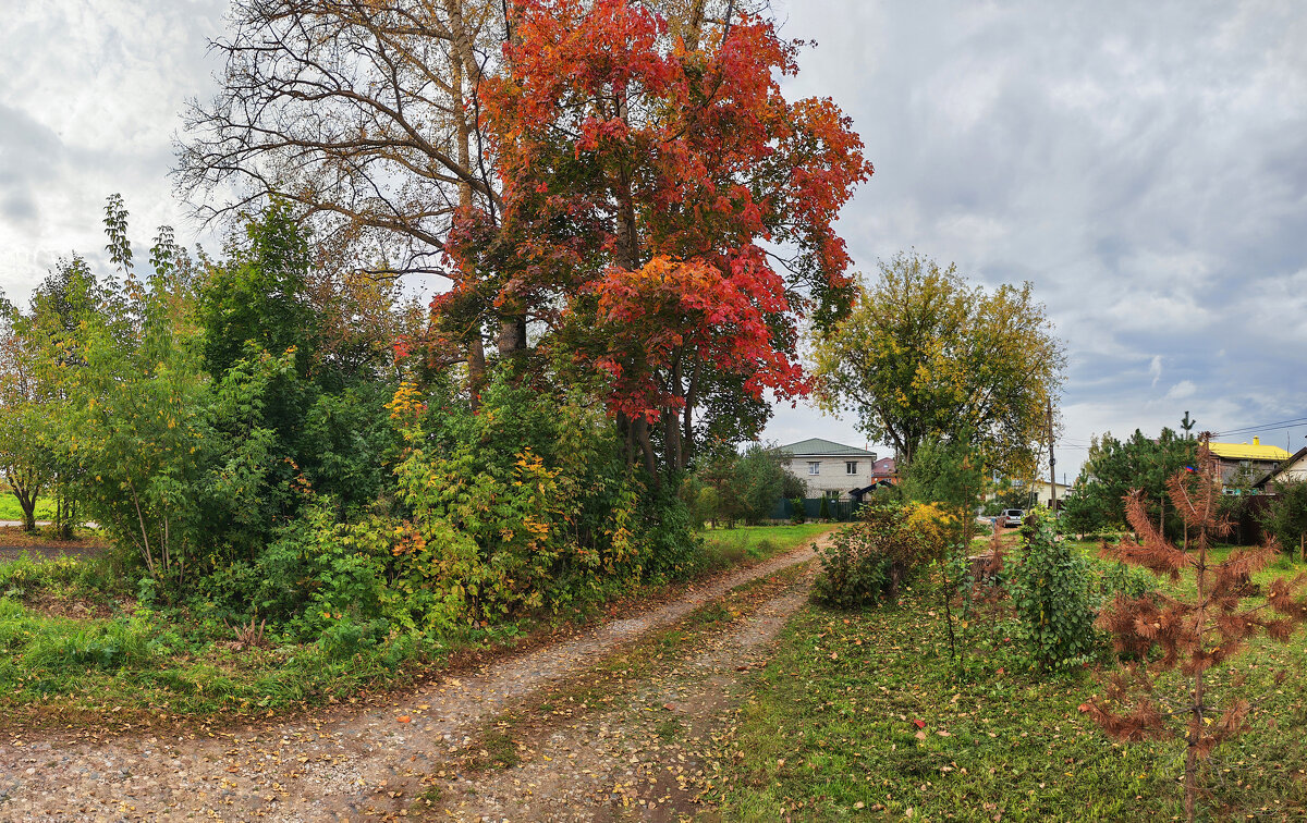 Александров - Денис Бочкарёв
