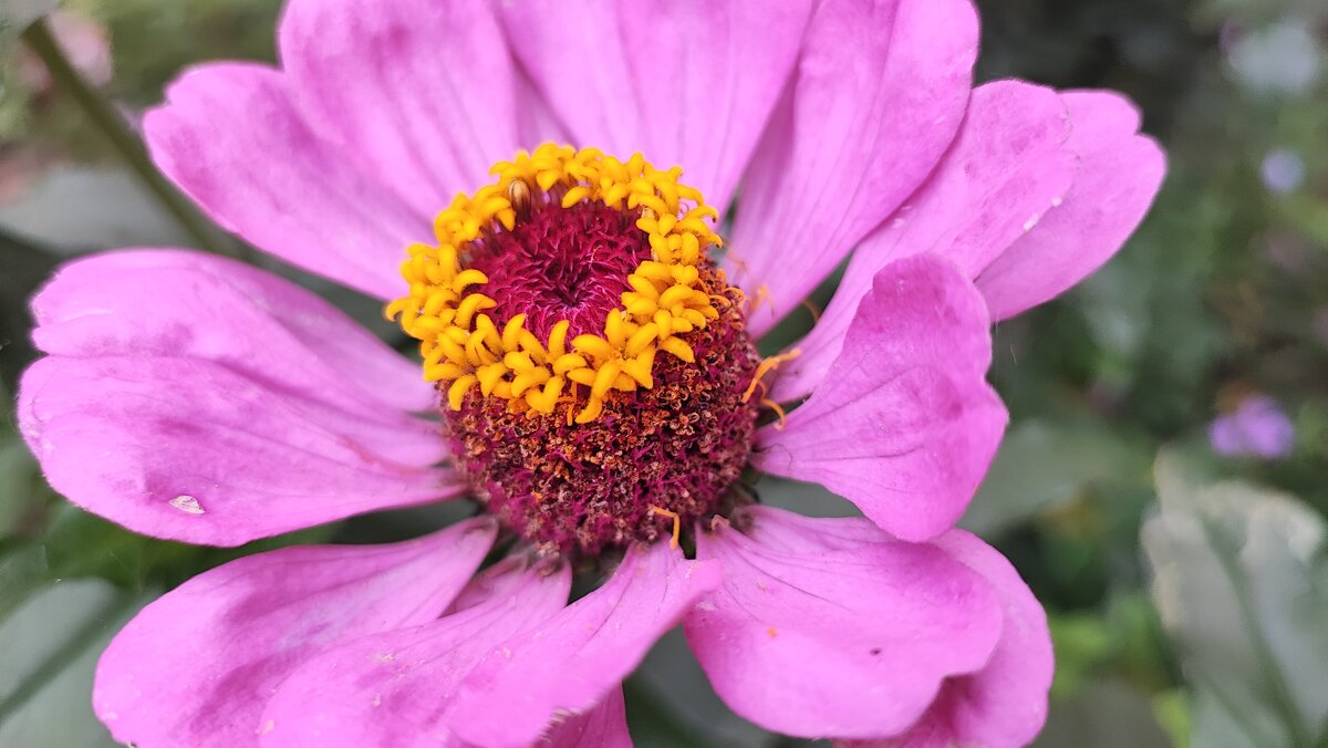 ,,, - Сергей Тимоновский