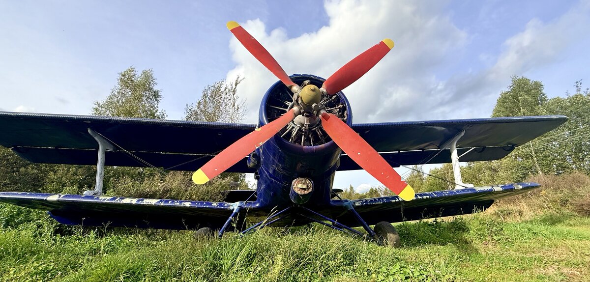 « … А девушки — потом!» ;) - Арина Невская