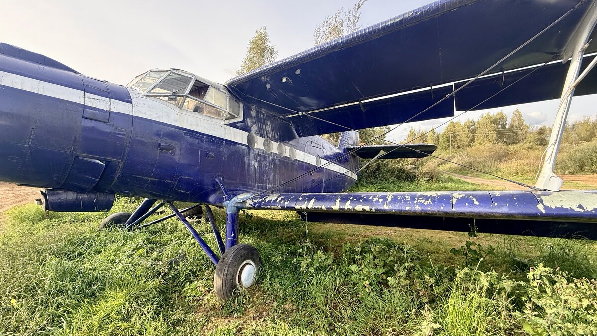 « … А девушки — потом!» ;) - Арина Невская « … А девушки — потом!» ;) - Арина Невская