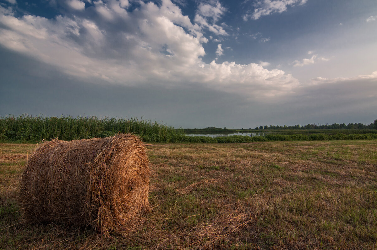 Природный парк Волго-Ахтубинская пойма - Дина Евсеева