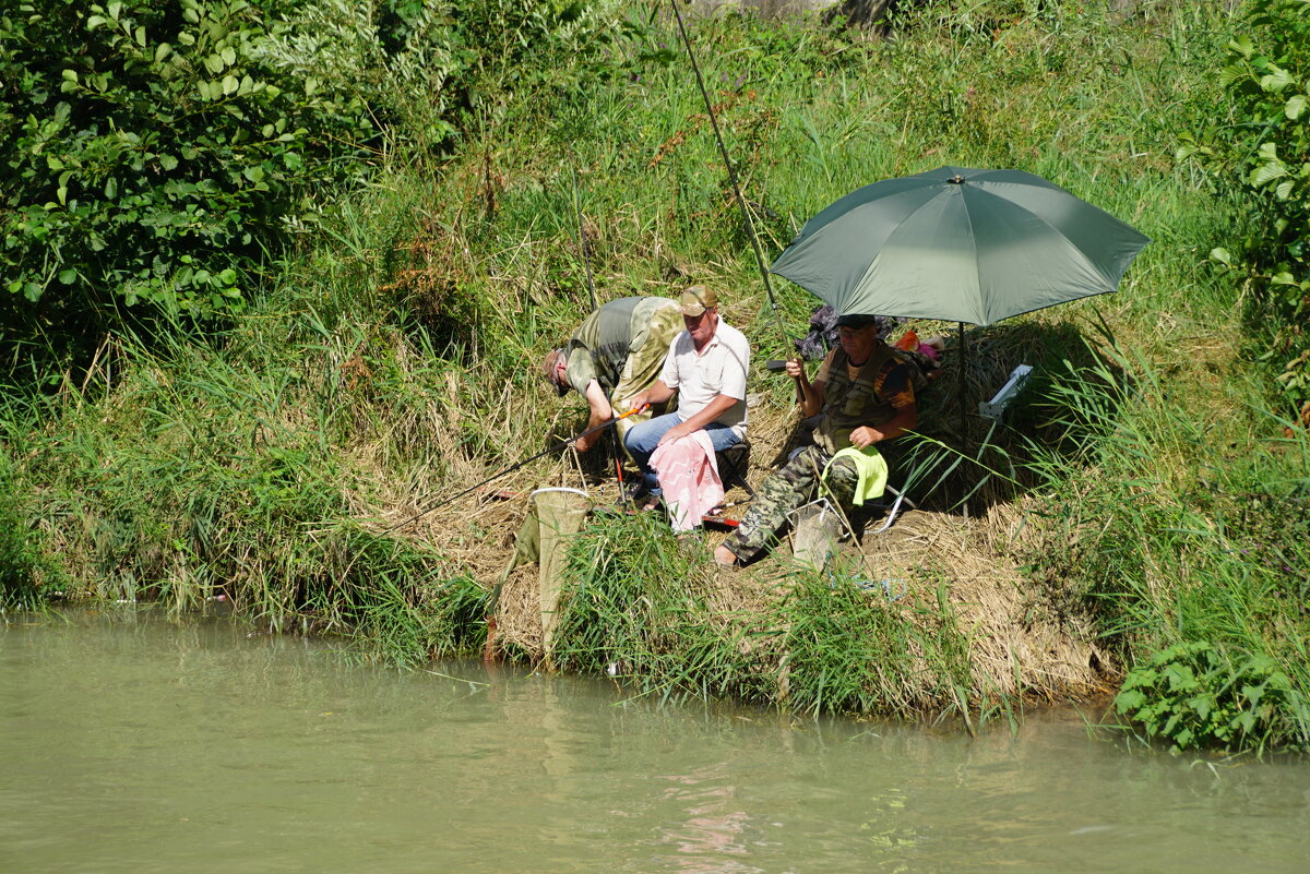 Утречком - Наталия Григорьева