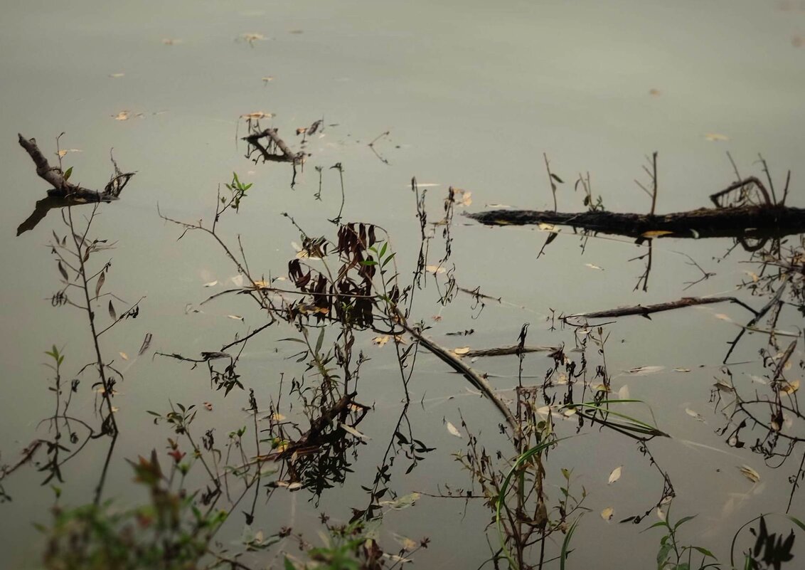 водная гладь сентября - Любовь 
