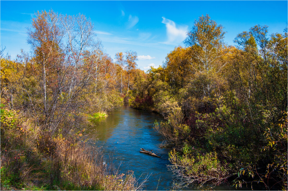**** - Алексей Мезенцев