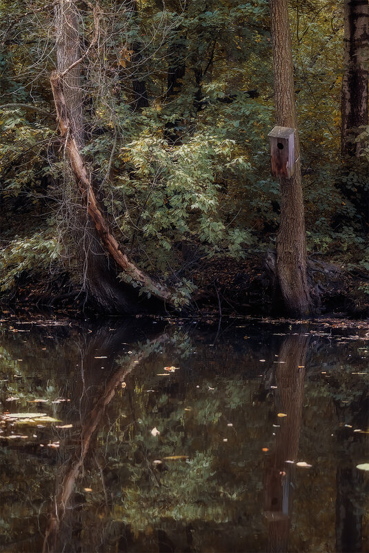 спокойствие - Michel 