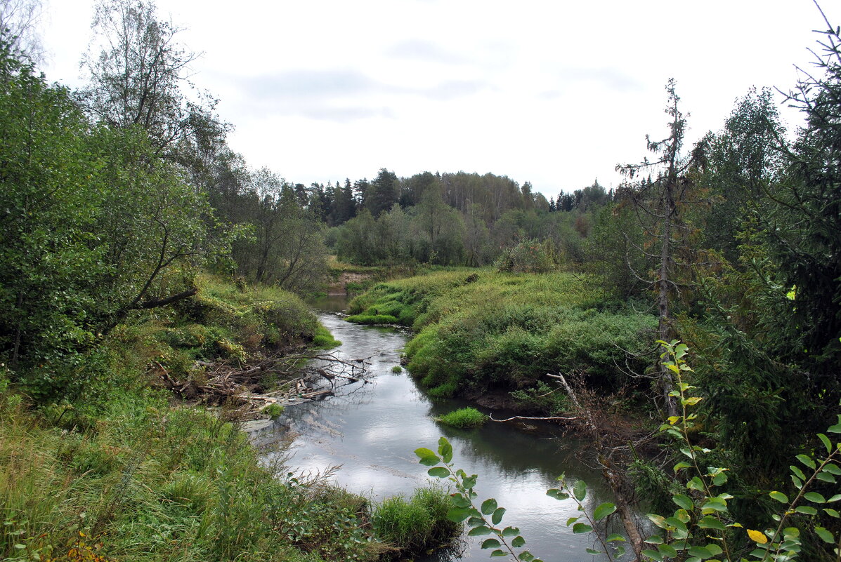 Нудоль - река и ракета - AleksSPb Лесниченко