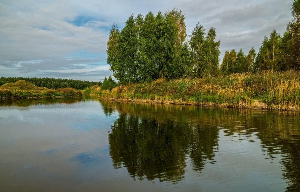 Цвет осени 5 - Андрей Дворников