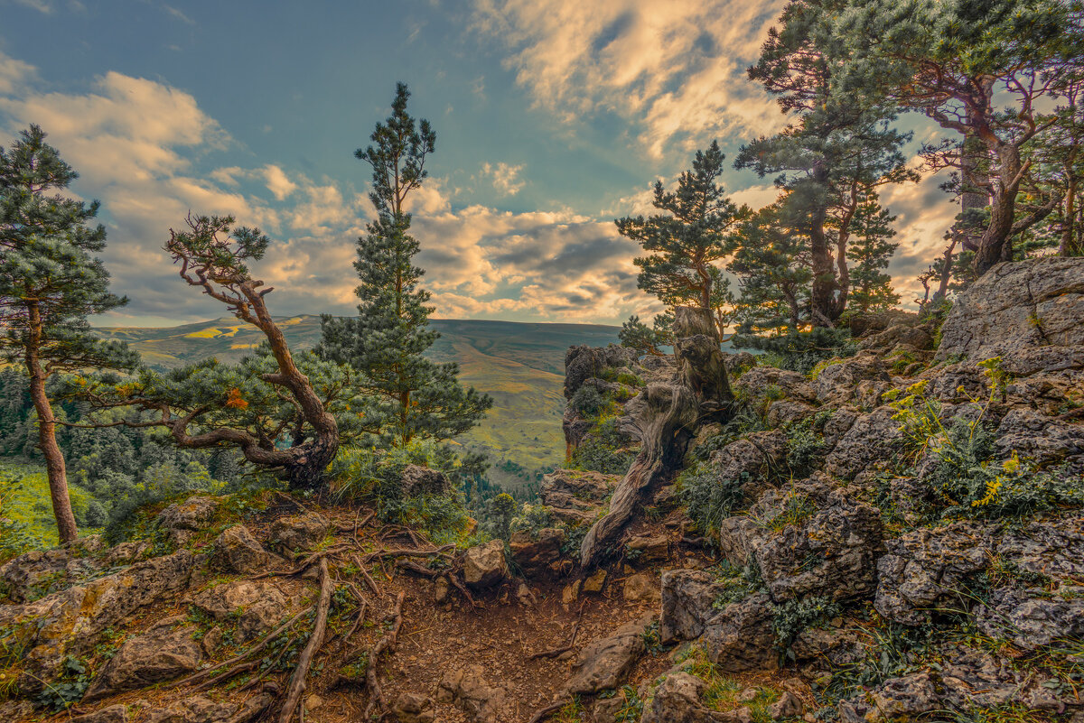 *** - Аnatoly Gaponenko *** - Аnatoly Gaponenko