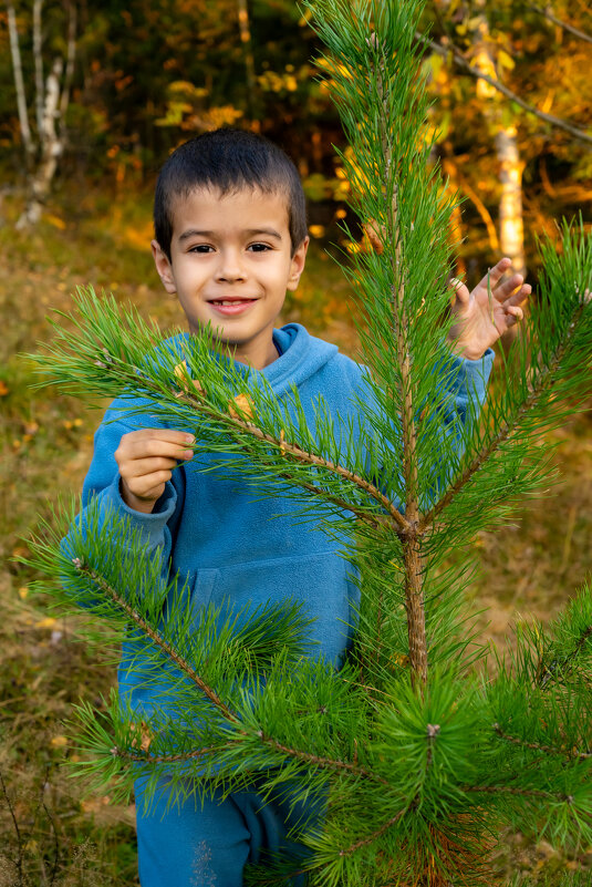Осень - Владимир VS