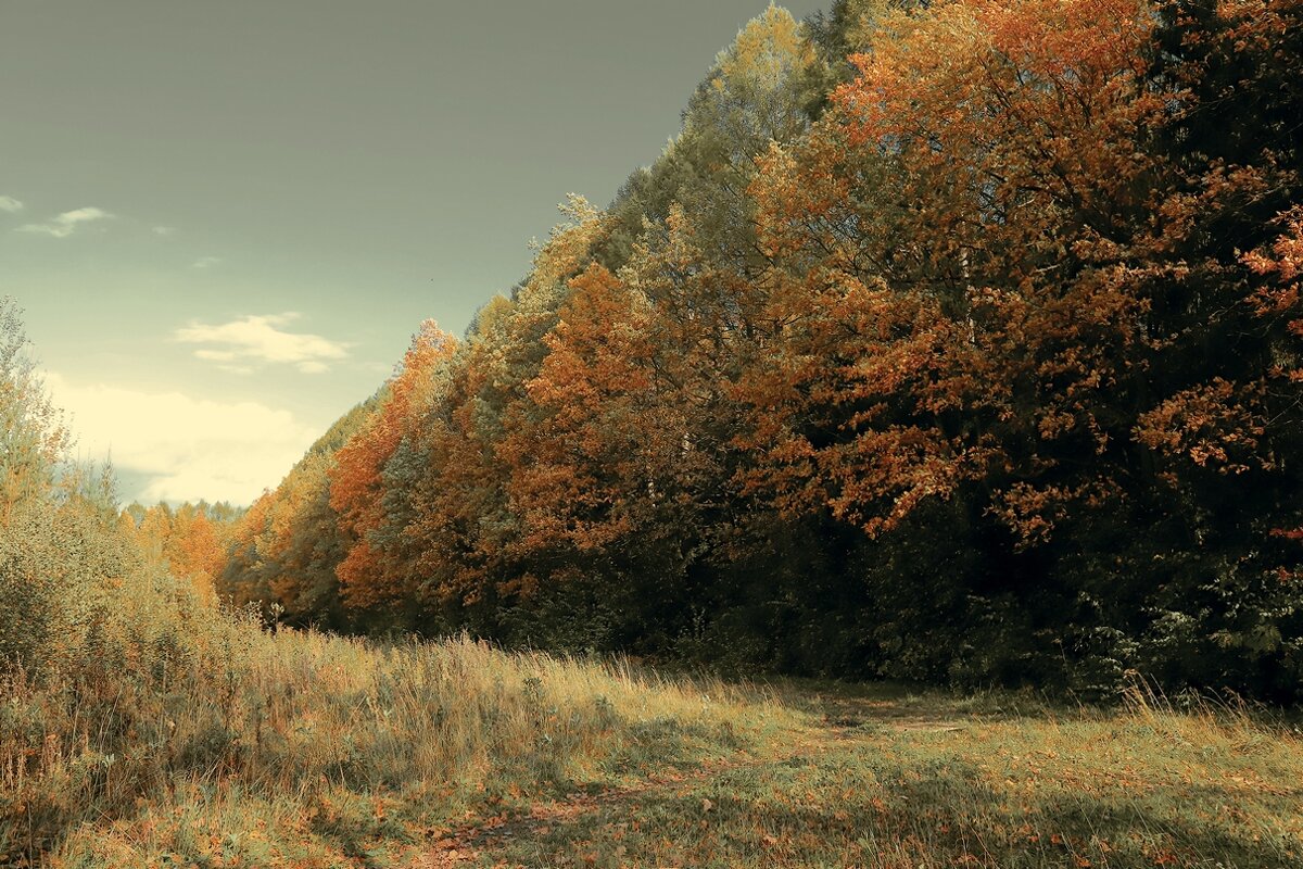 осень - Владимир иванов