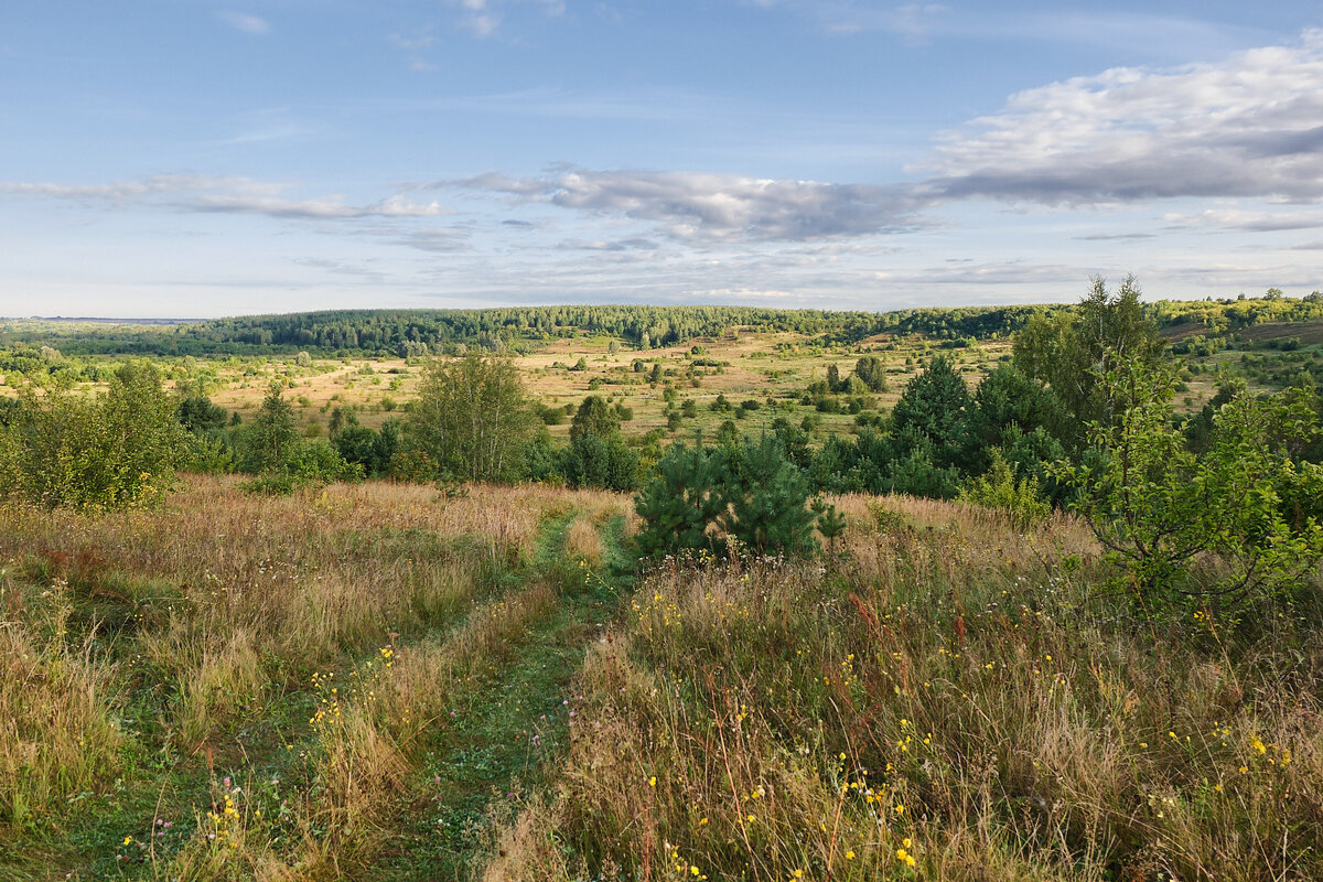 Лощинка - Александр 