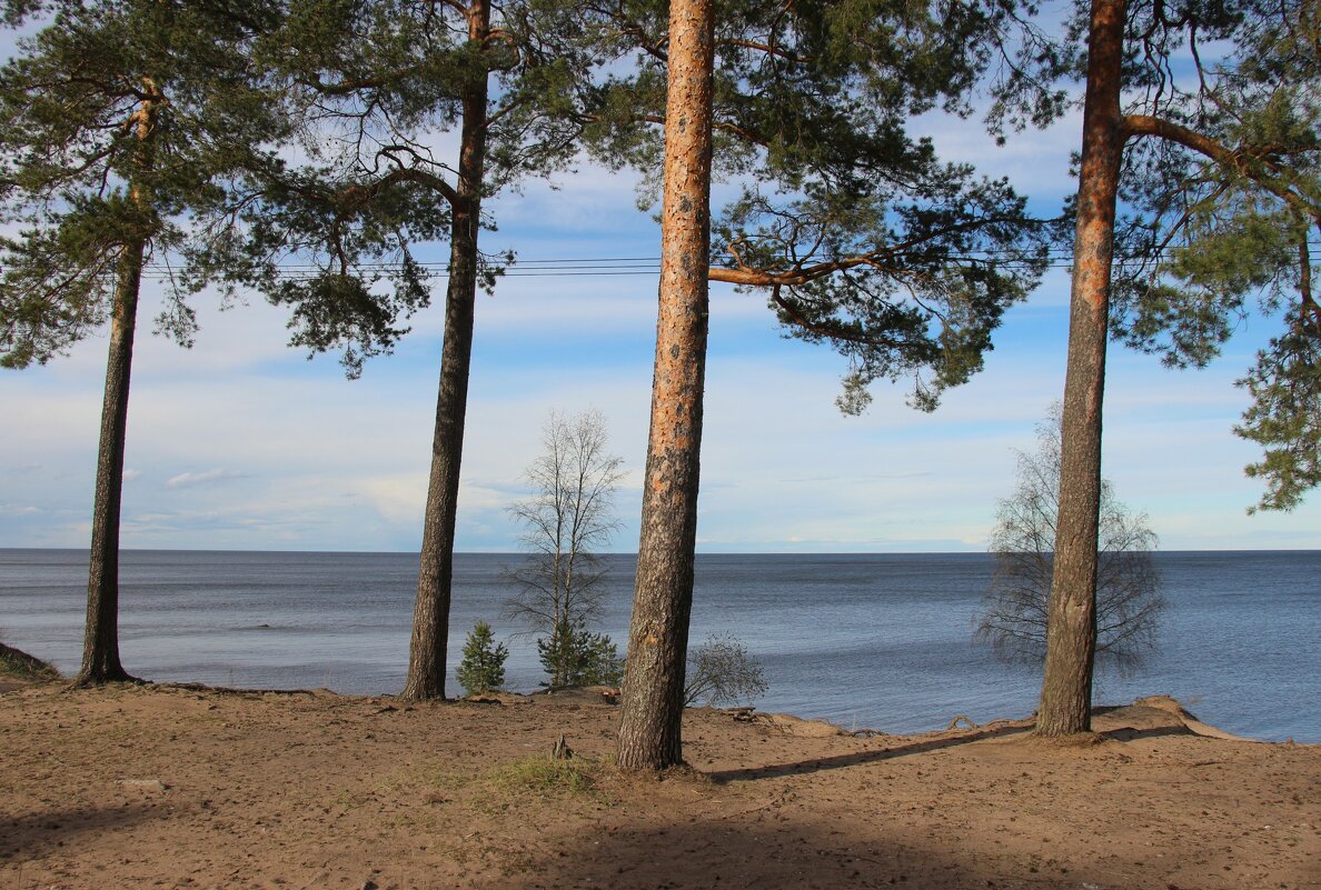 Ладожское Озеро - Наталья Герасимова