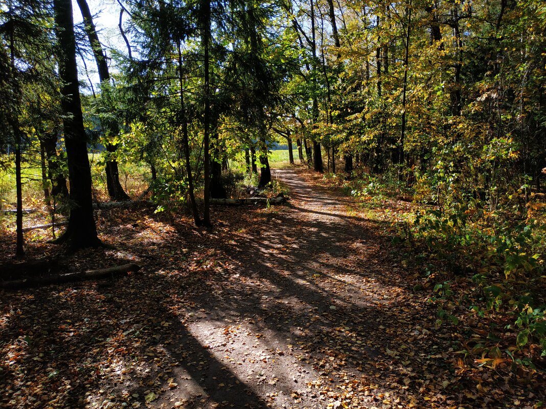 Бабье лето длинным не бывает - Андрей Лукьянов Бабье лето длинным не бывает - Андрей Лукьянов