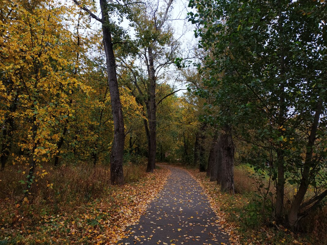 Бабье лето длинным не бывает - Андрей Лукьянов