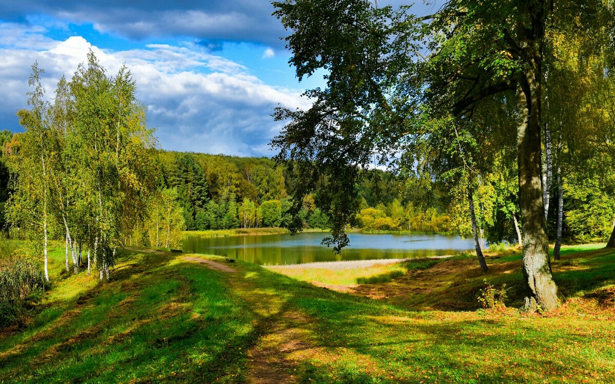 Про осень в сентябре. - Милешкин Владимир Алексеевич 