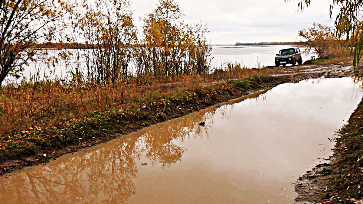 На Оби прошли проливные осенние дожди! - Владимир 