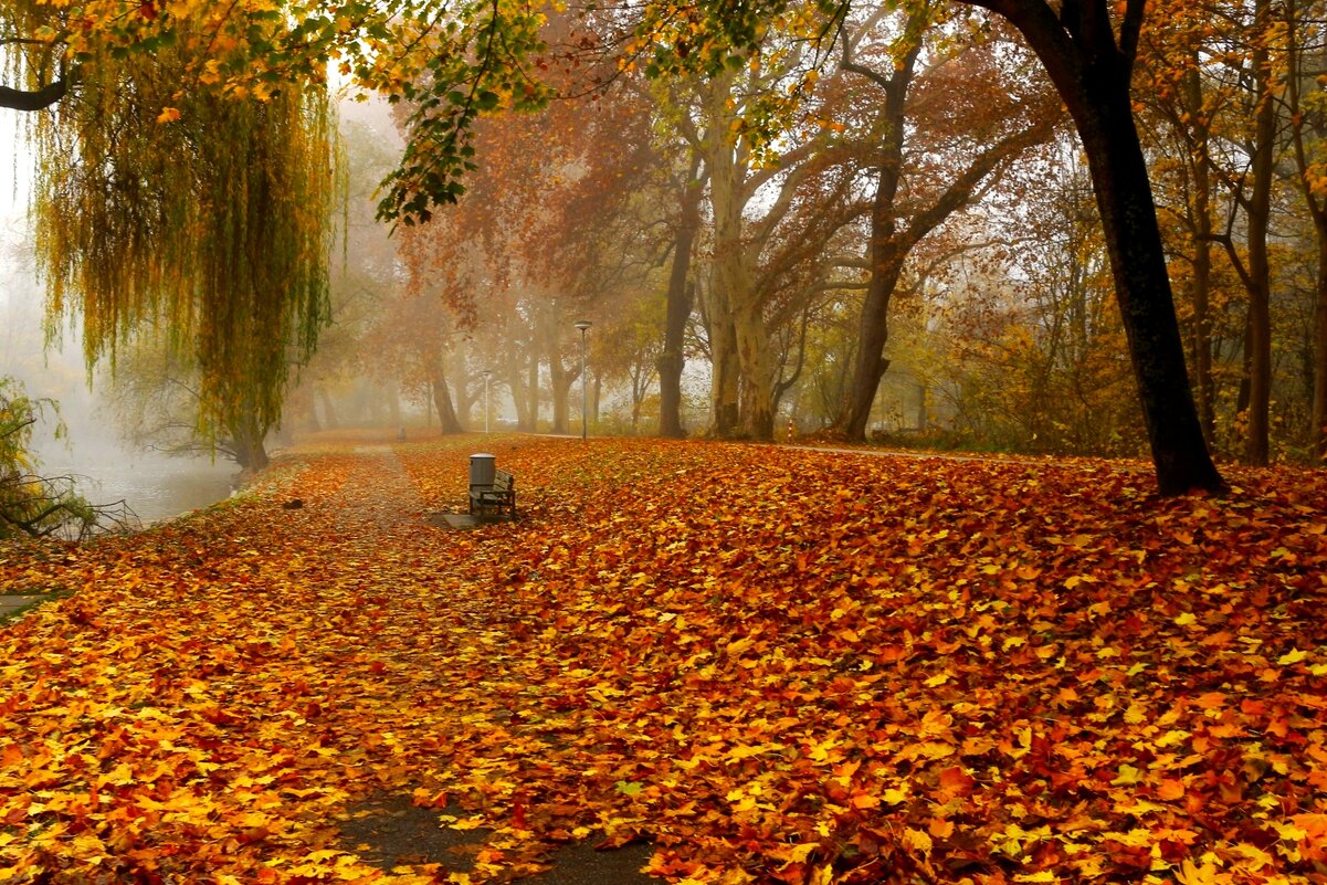 Засыпан дивный парк листвой, пропитан солнцем день до дна, в осенней неге золотой под вязом дремлет - Юрий. Шмаков