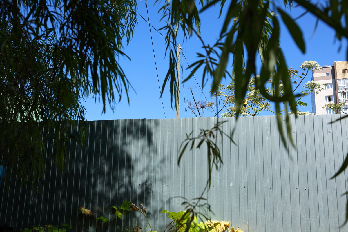 ... - Денис Безногов