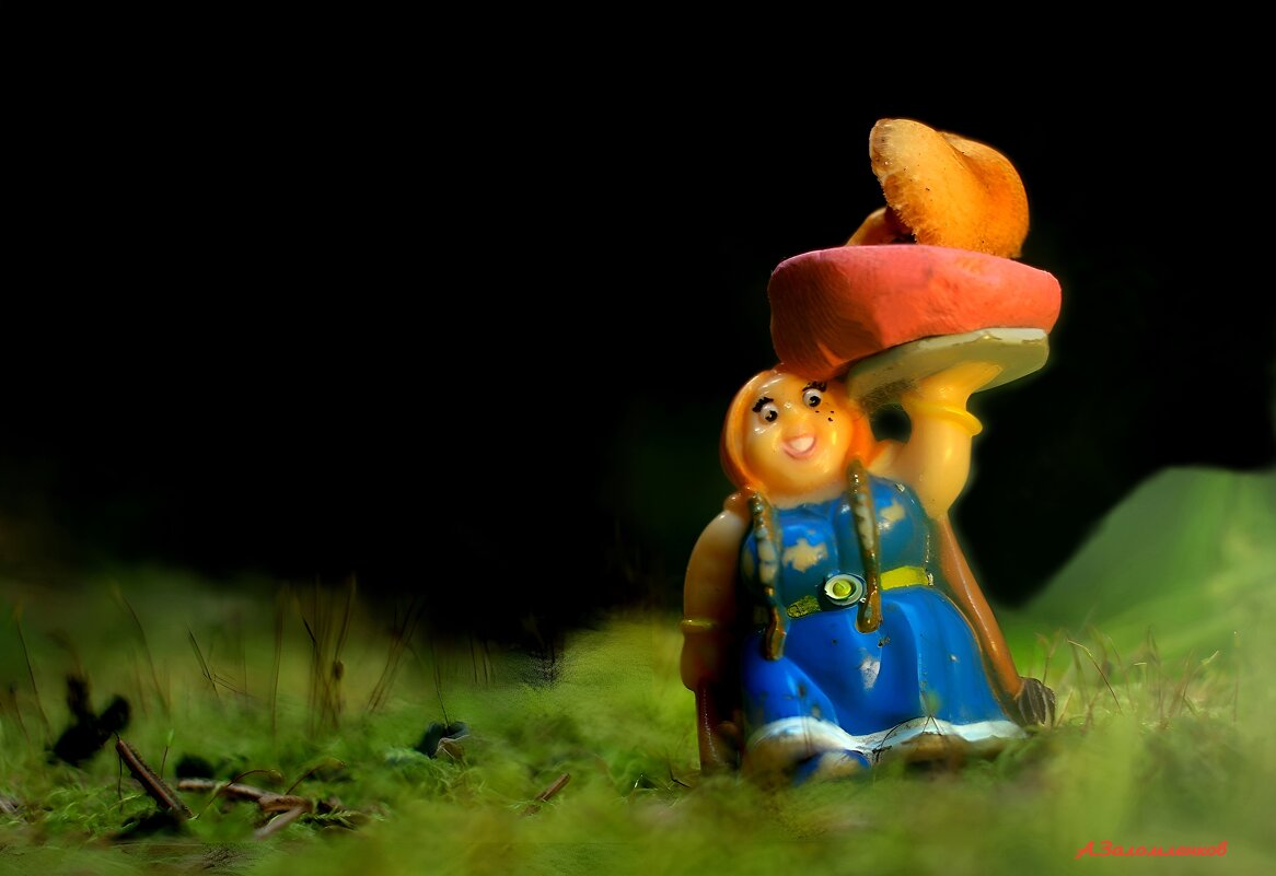 Про грибные истории.. - Андрей Заломленков Про грибные истории.. - Андрей Заломленков