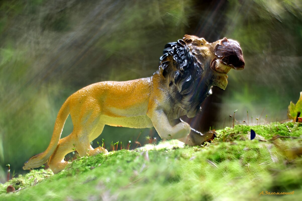 Мы в город изумрудный идём дорогой трудной...:-) - Андрей Заломленков Мы в город изумрудный идём дорогой трудной...:-) - Андрей Заломленков