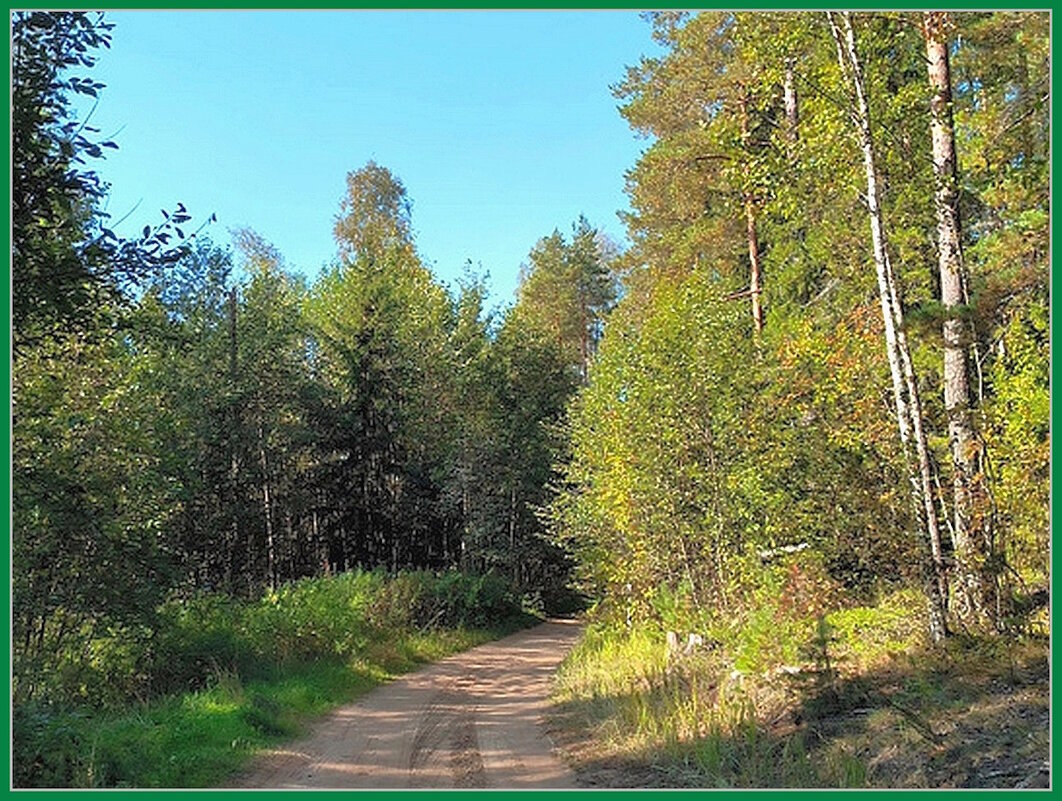 Дорога к дому. - Ольга Довженко