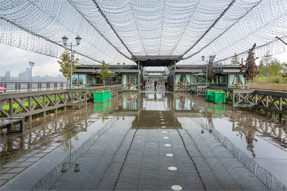 Дождь - **** vedin