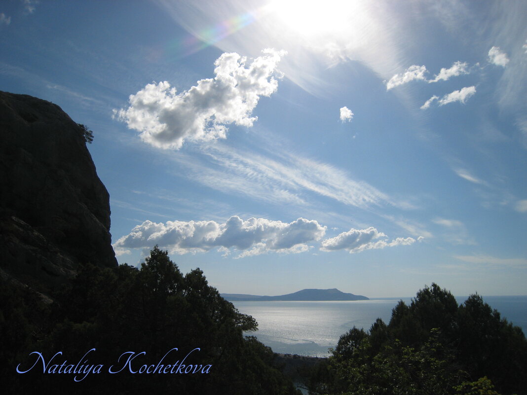 Природа Крыма - Amazing Cosmea