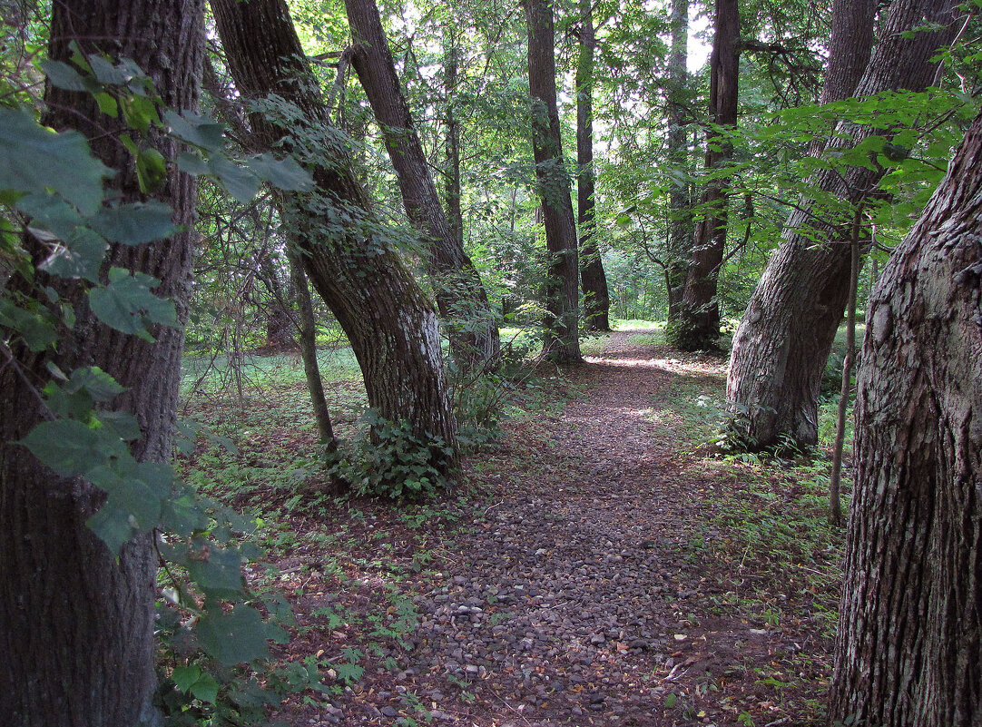 В парке - Александр Ильчевский 