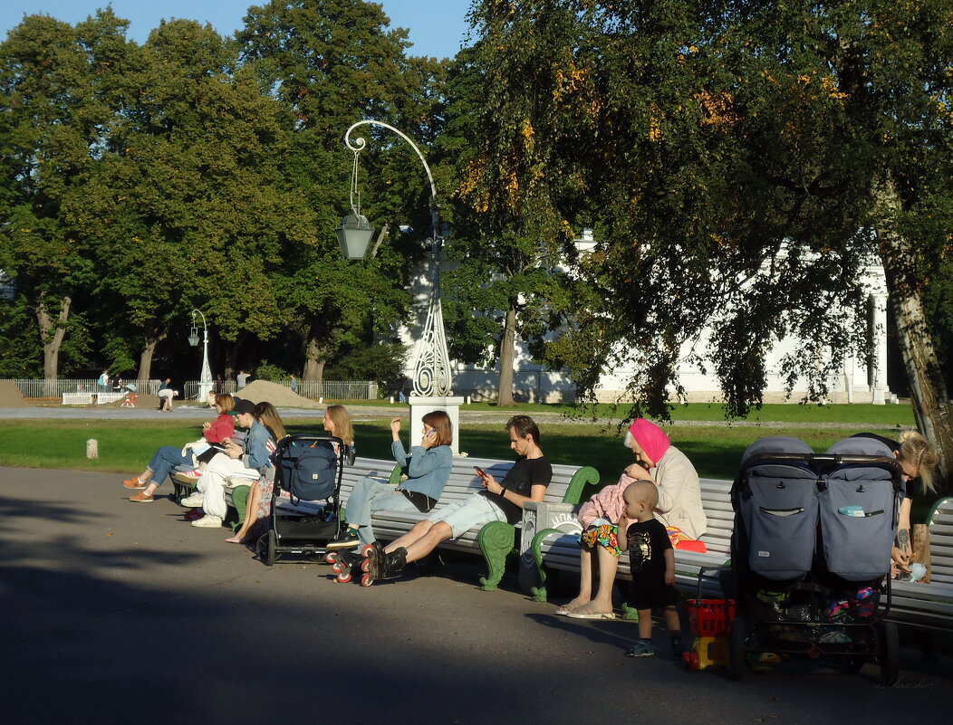 сентябрьское сидение - sv.kaschuk сентябрьское сидение - sv.kaschuk