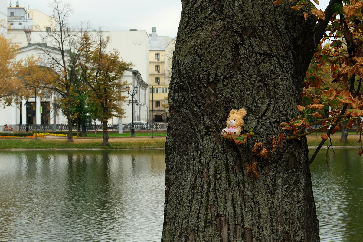 На Чистых прудах - Лютый Дровосек