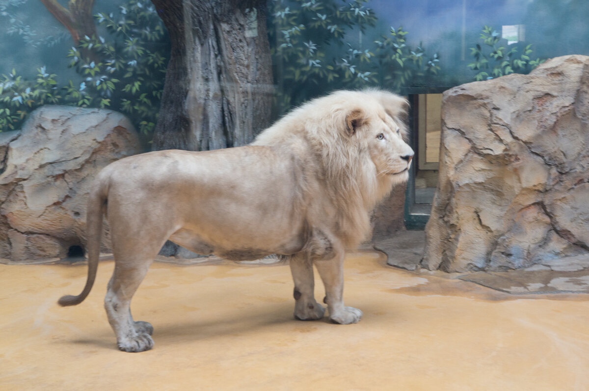 Казань. Зооботсад - Андрей 