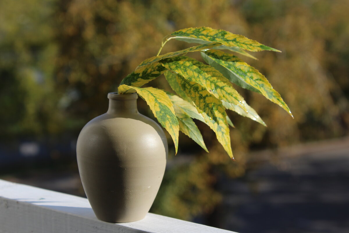 Осенняя пора. - Нина Сироткина 