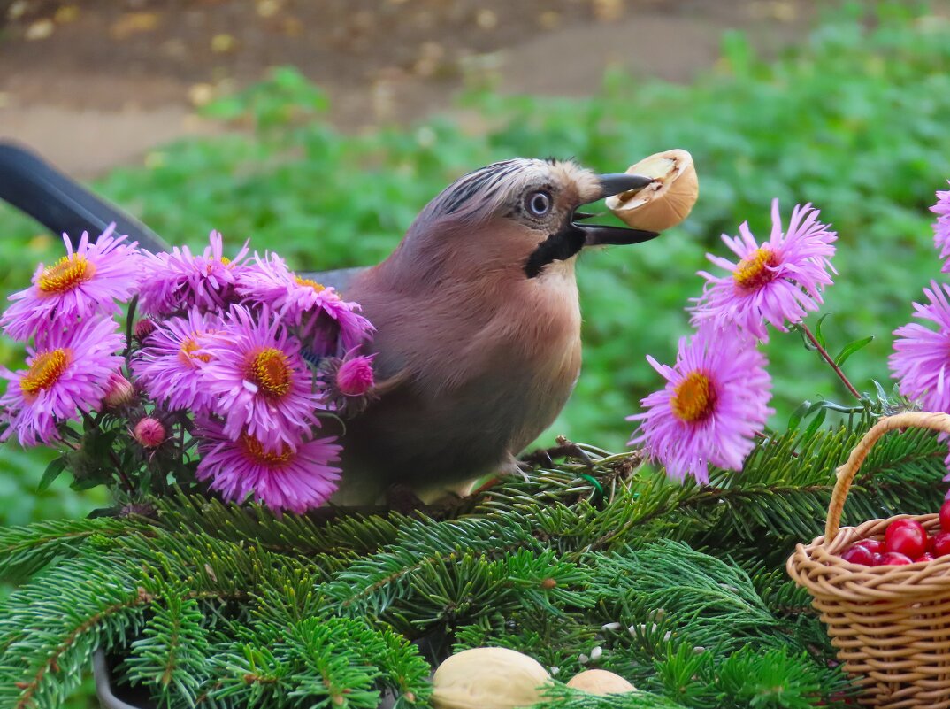 Завтрак - Ольга Митрофанова Завтрак - Ольга Митрофанова
