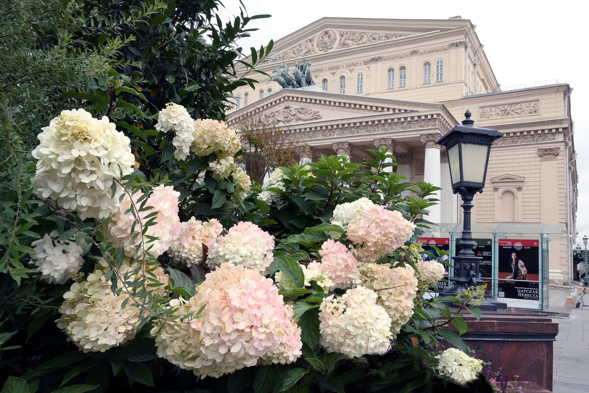 Театр 19 сентября - Михаил Бибичков Театр 19 сентября - Михаил Бибичков