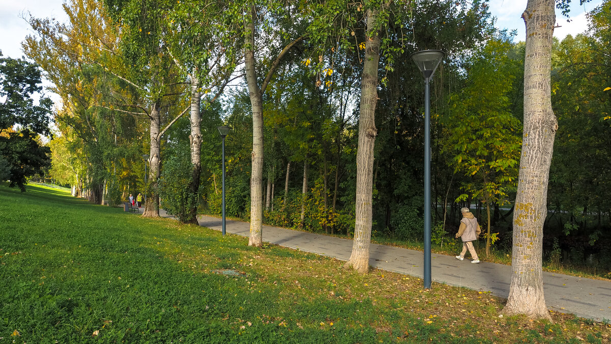 ***** - юрий поляков