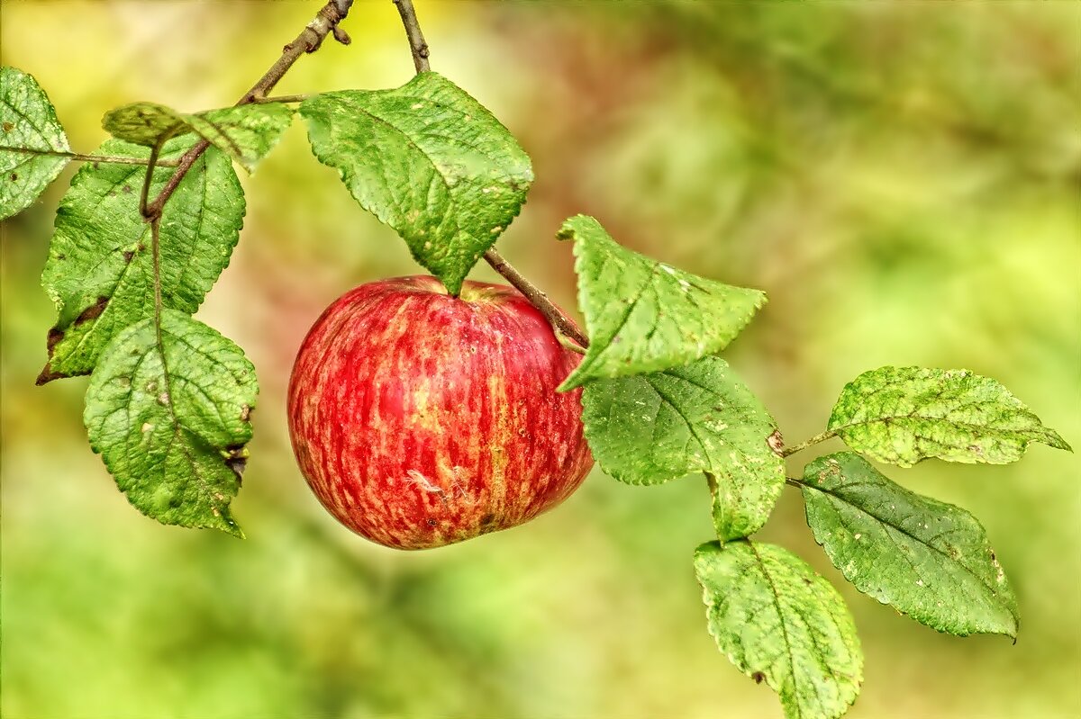 ... - Вячеслав Минаев