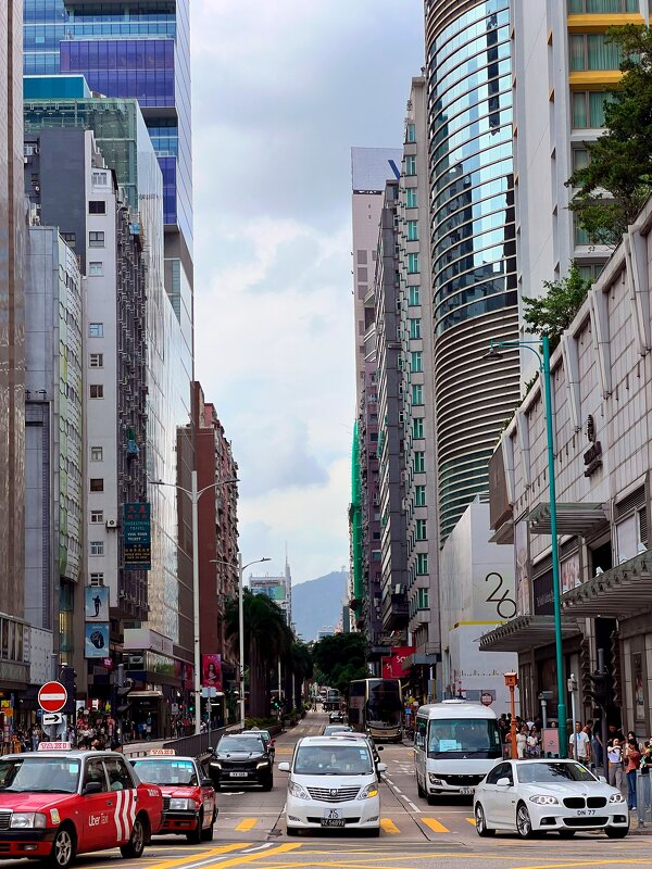 улицы гонконга - Николай Соколухин