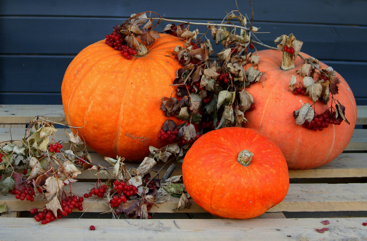 Осень - Vlad Сергиевич