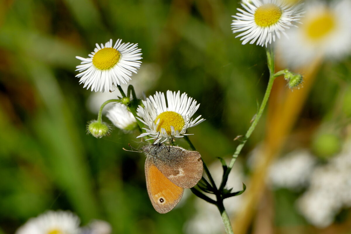 Из вчерашней съёмки - Александр Прокудин