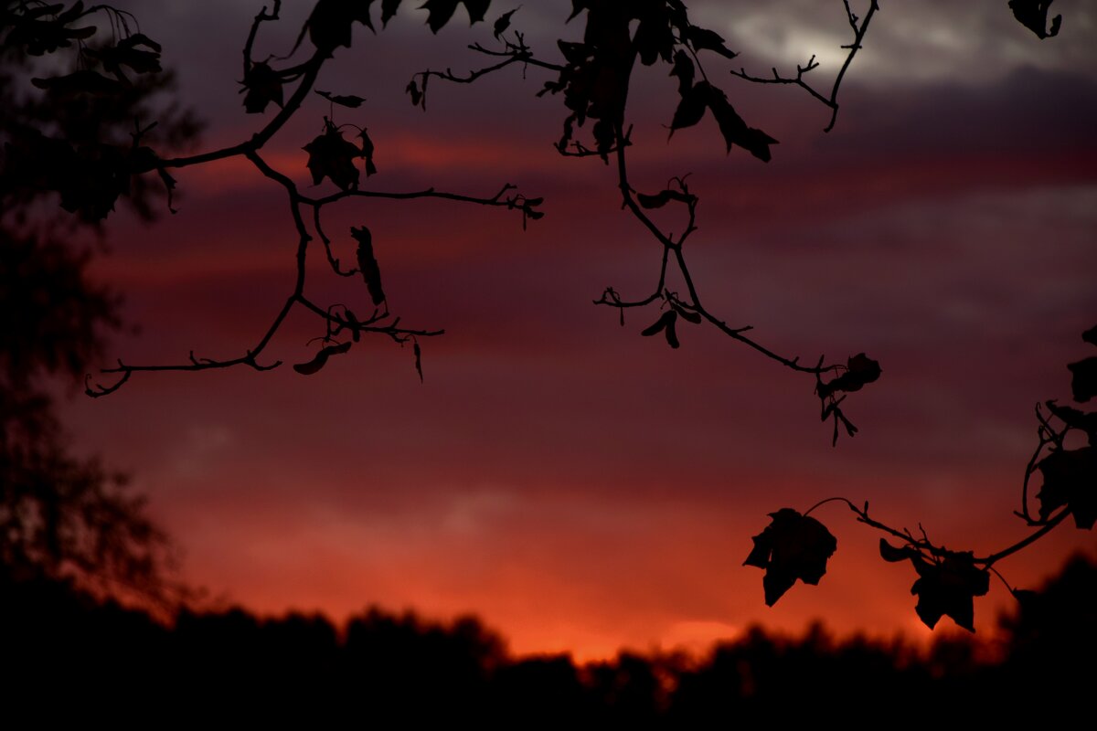 Розовое небо - Мария Яковлева