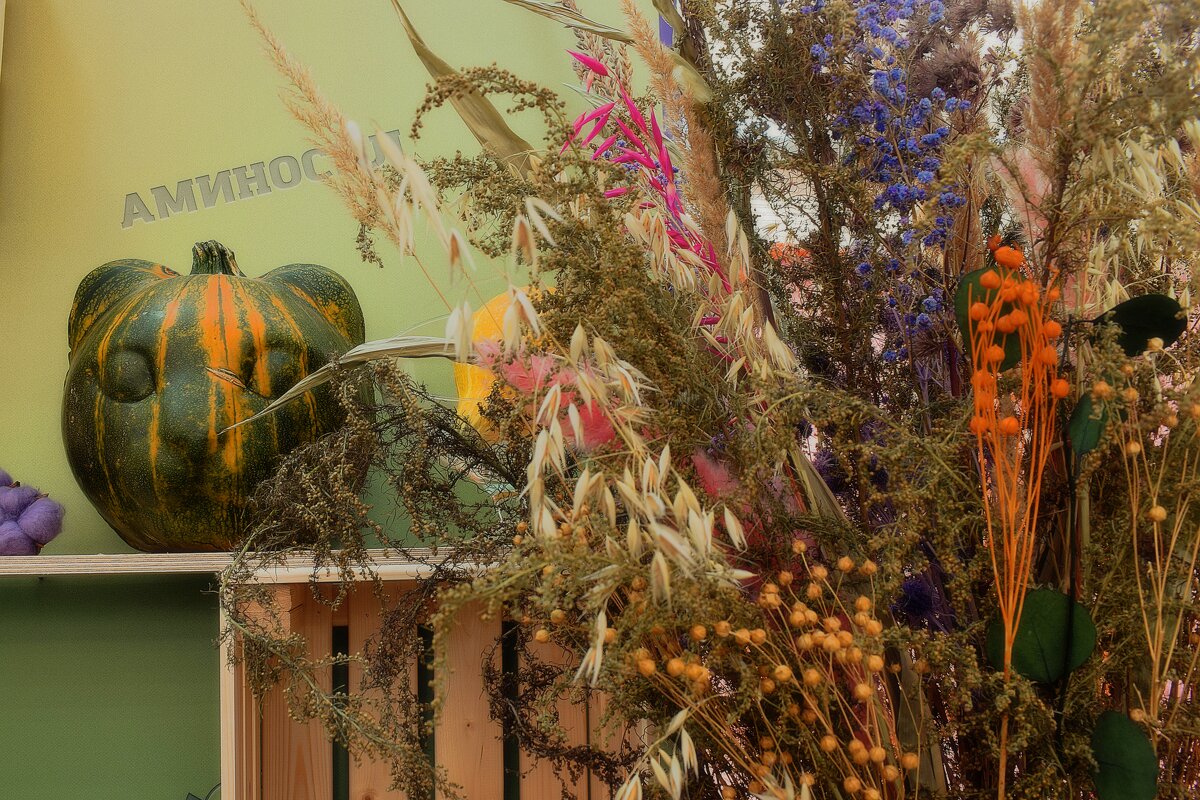 Кабачок в форме котика. - Татьяна Помогалова