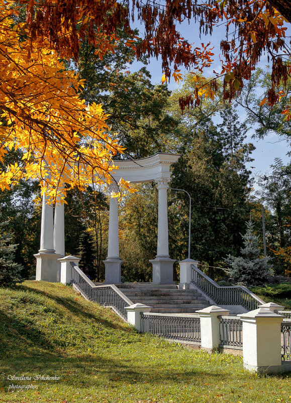 Осень - красивое время - Светлана Ищенко