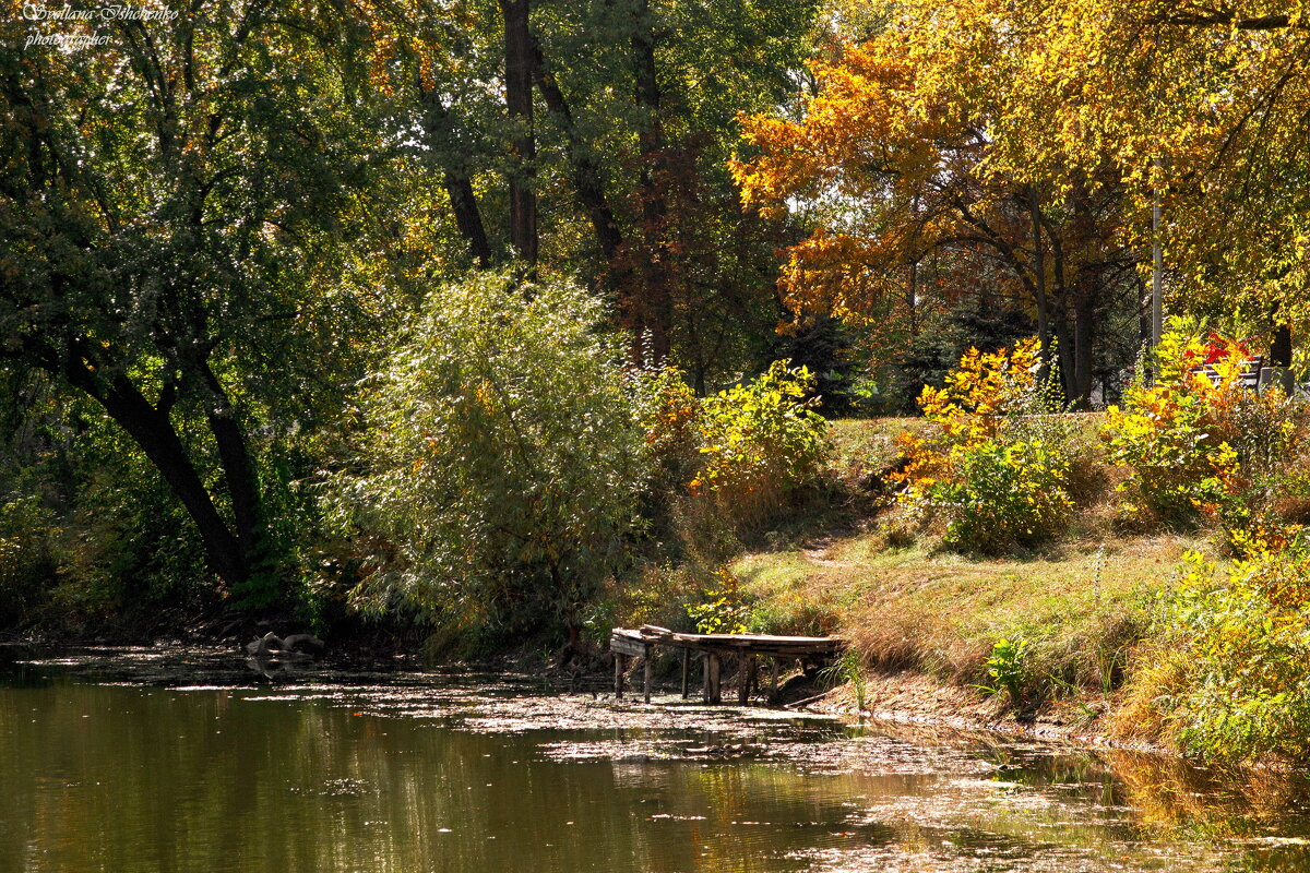 Красота осенней природы - Светлана Ищенко