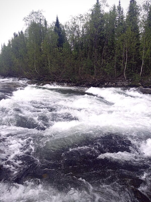 Алтайская река - Георгиевич 