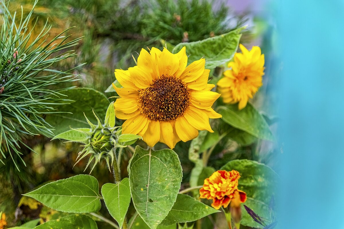 Городские - Валерий Иванович