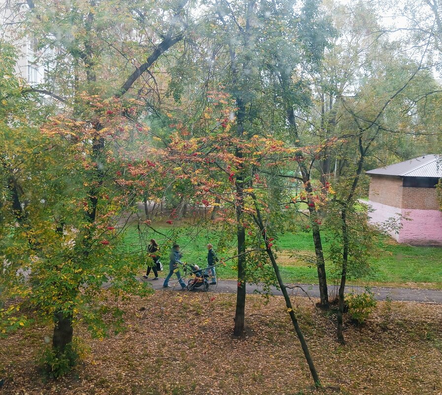 Осень - Елена Семигина