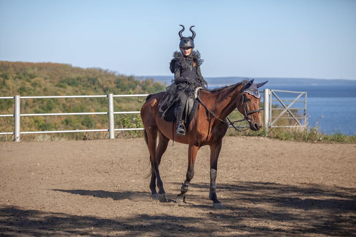 * - Александр Лисовский