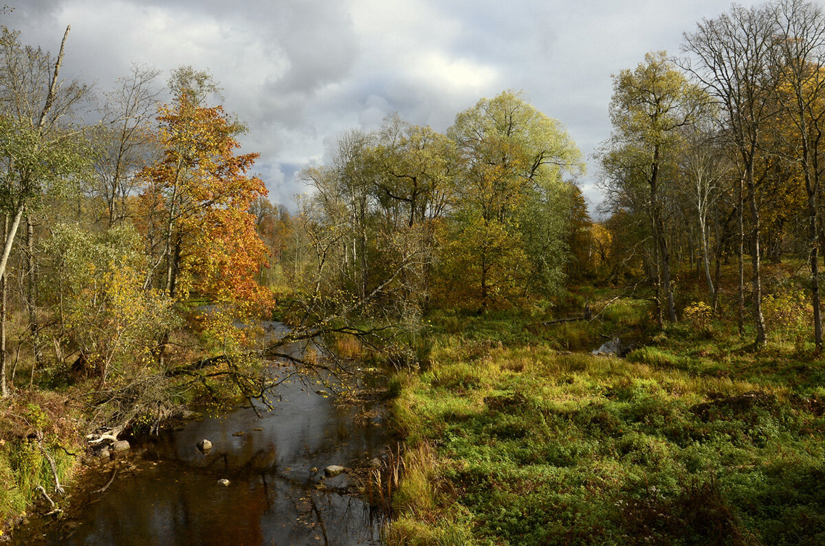 Прекрасная пора.... - Aleksandr Gal
