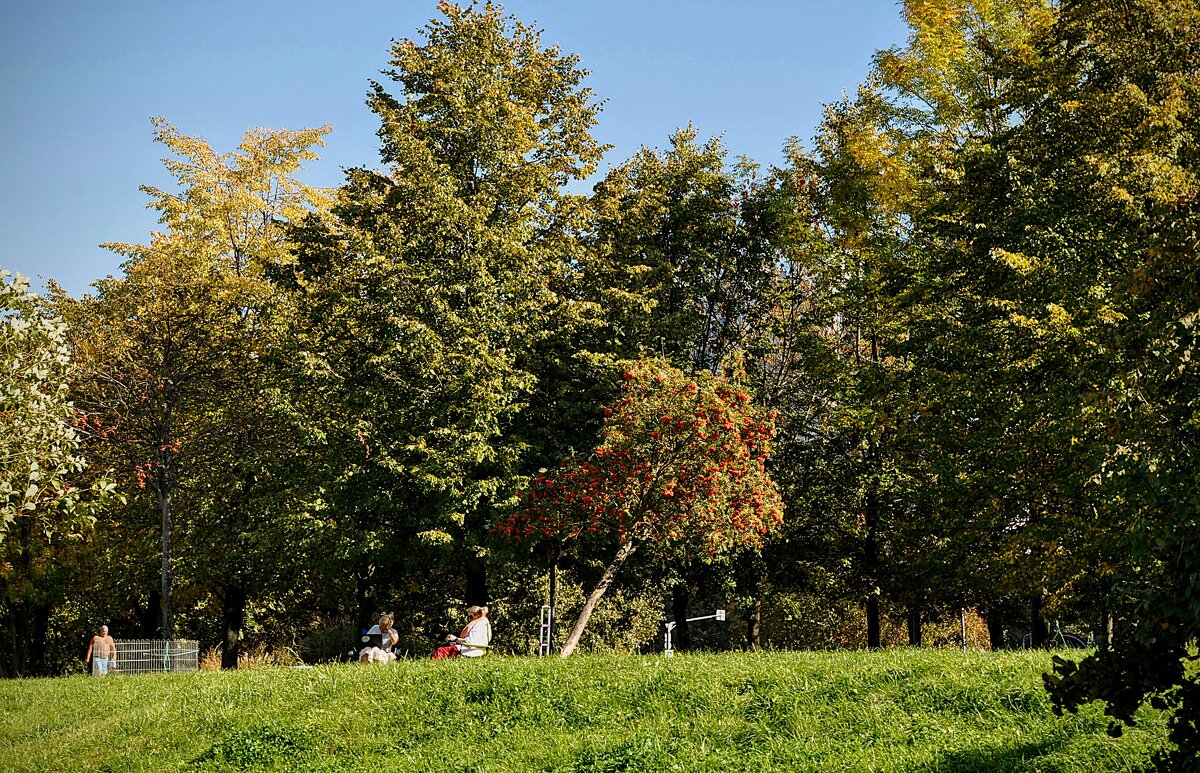 Неожиданный подарок от  Гидрометеоцентра  + 27 ! ! !  ) - Анатолий Колосов