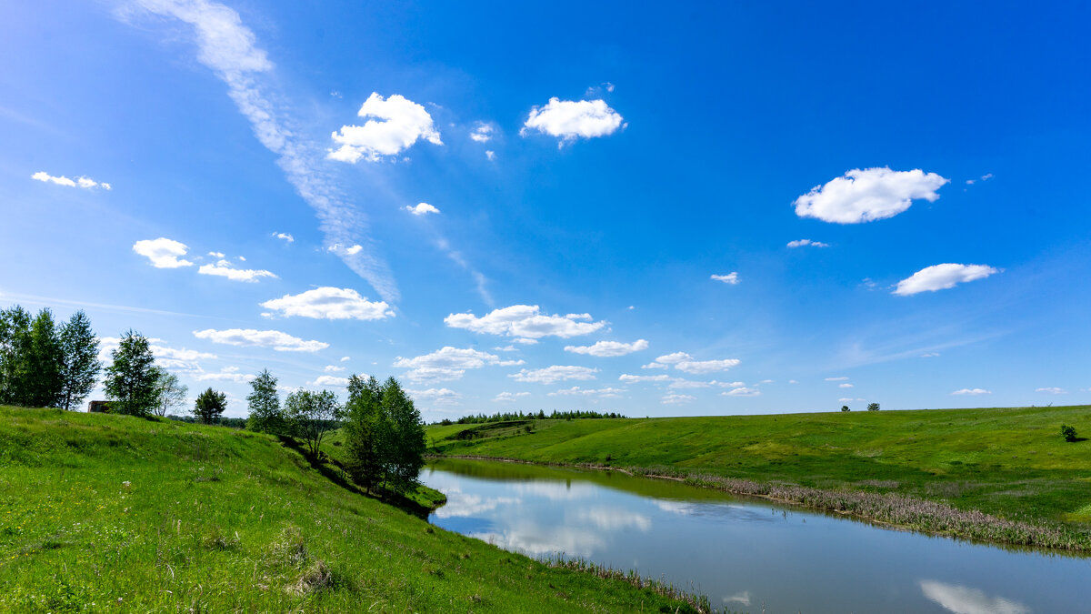 Маленький прудик - Владимир Иванович